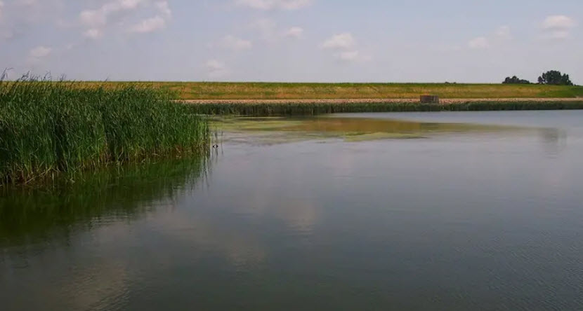Gunlogson State Nature Preserve, United States